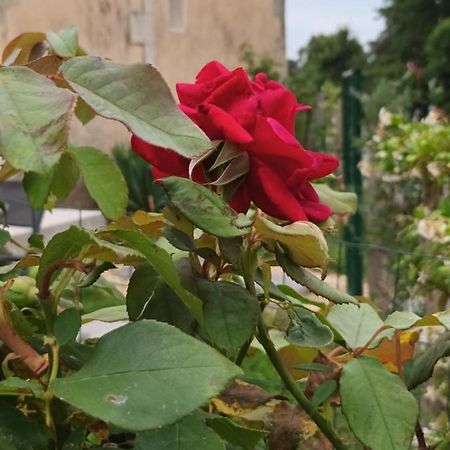 Gite Aux Vieux Bois Lunas  Εξωτερικό φωτογραφία