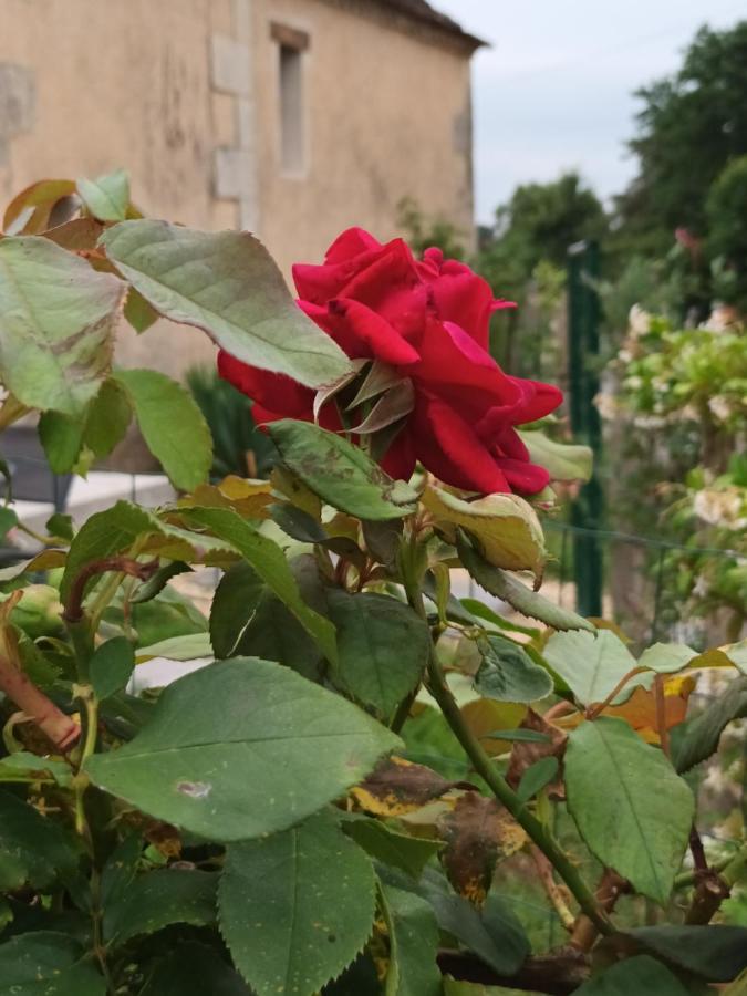 Gite Aux Vieux Bois Lunas  Εξωτερικό φωτογραφία